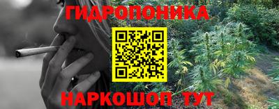 соль ск Дубна