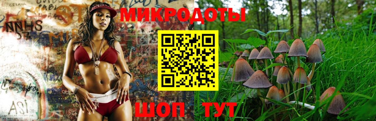 Псилоцибиновые грибы ЛСД Малоярославец