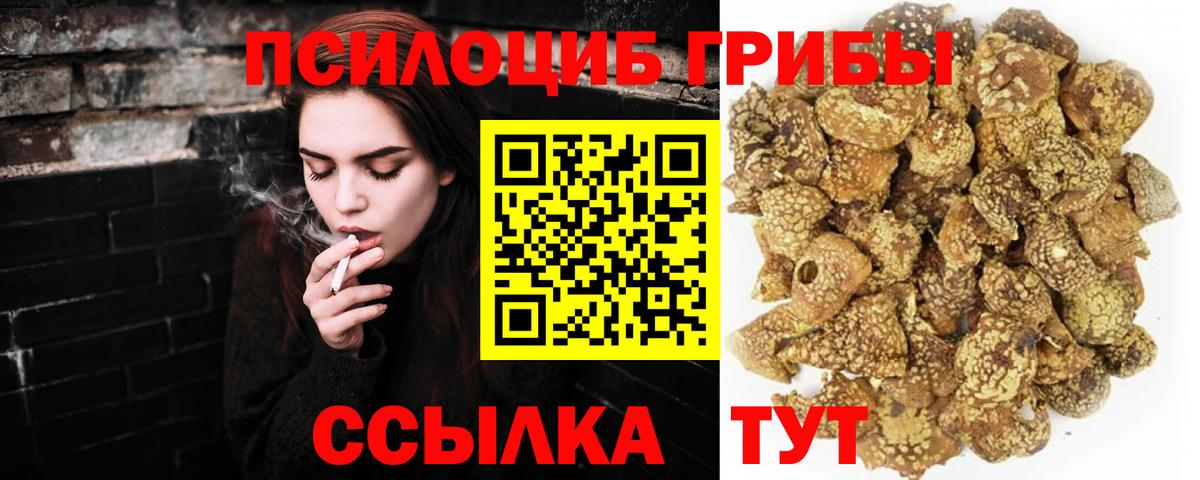 Малоярославец  Псилоцибиновые грибы Psilocybe  Вход с VPN 
