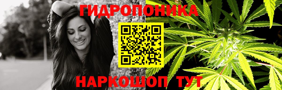 Канабис индика Малоярославец